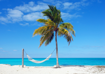 Hammock